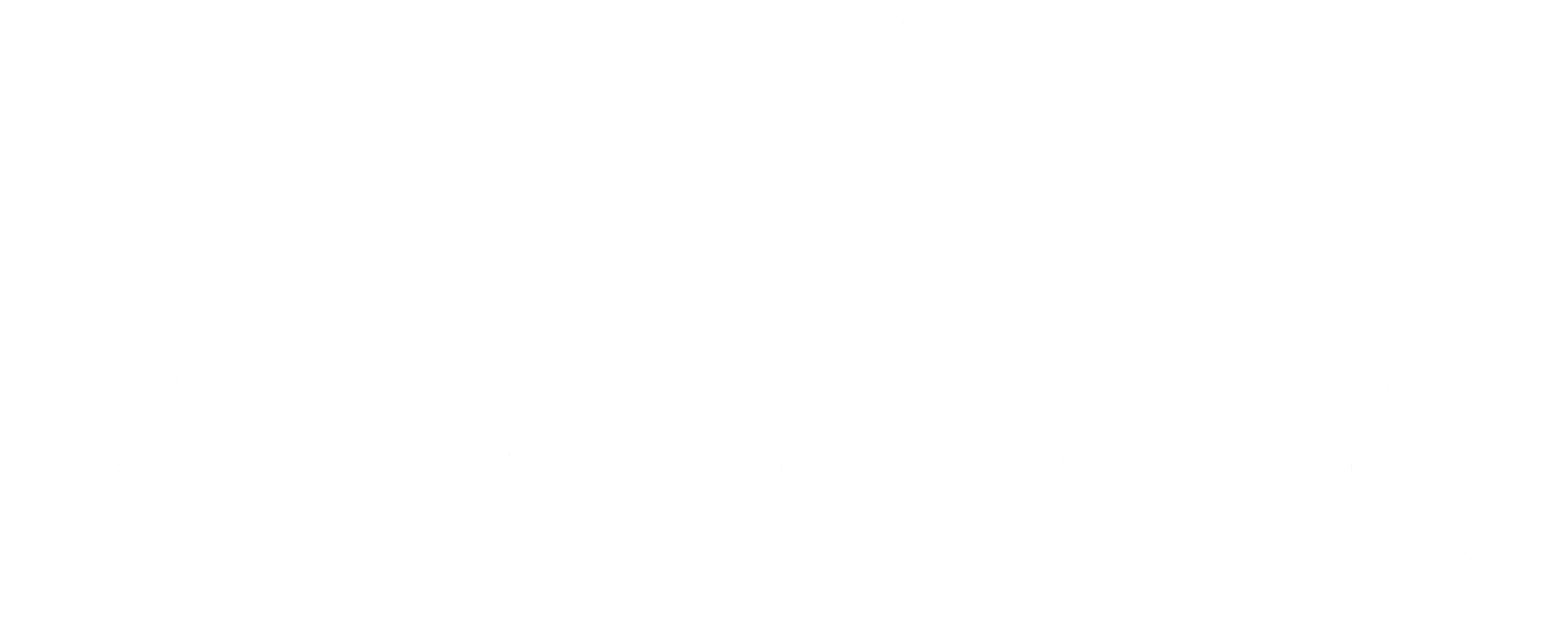 Nevada logo image